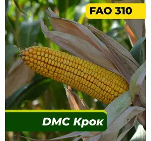 Насіння кукурудзи ДМС Крок, ФАО 310 Маїс Дніпро (80 000 насінин)