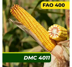 Насіння кукурудзи ДМС 4011 Маїс Дніпро (80 000 насінин)