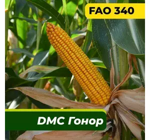 Насіння кукурудзи ДМС Гонор, ФАО 340 Маїс Дніпро (80 000 насінин)