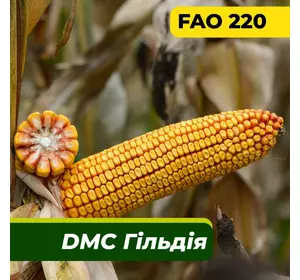 Насіння кукурудзи ДМС Гільдія, ФАО 220 Маїс Дніпро (80 000 насінин)