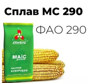 Насіння кукурудзи Сплав МС 290 Маїс Дніпро (.)