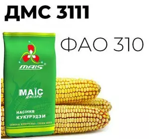 Насіння гібрида кукурудзи ДМС 3111 Маїс Дніпро (.)