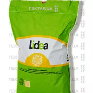 Соняшник під Євро-лайтнінг + Соняшник під Євро-лайтнінг +